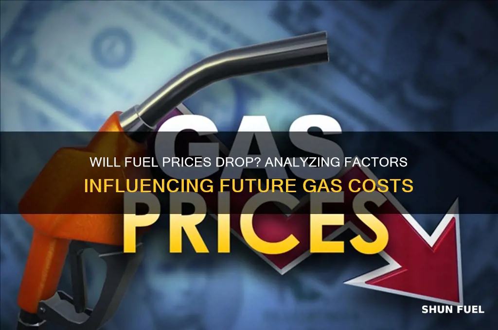 will fuel prices go down