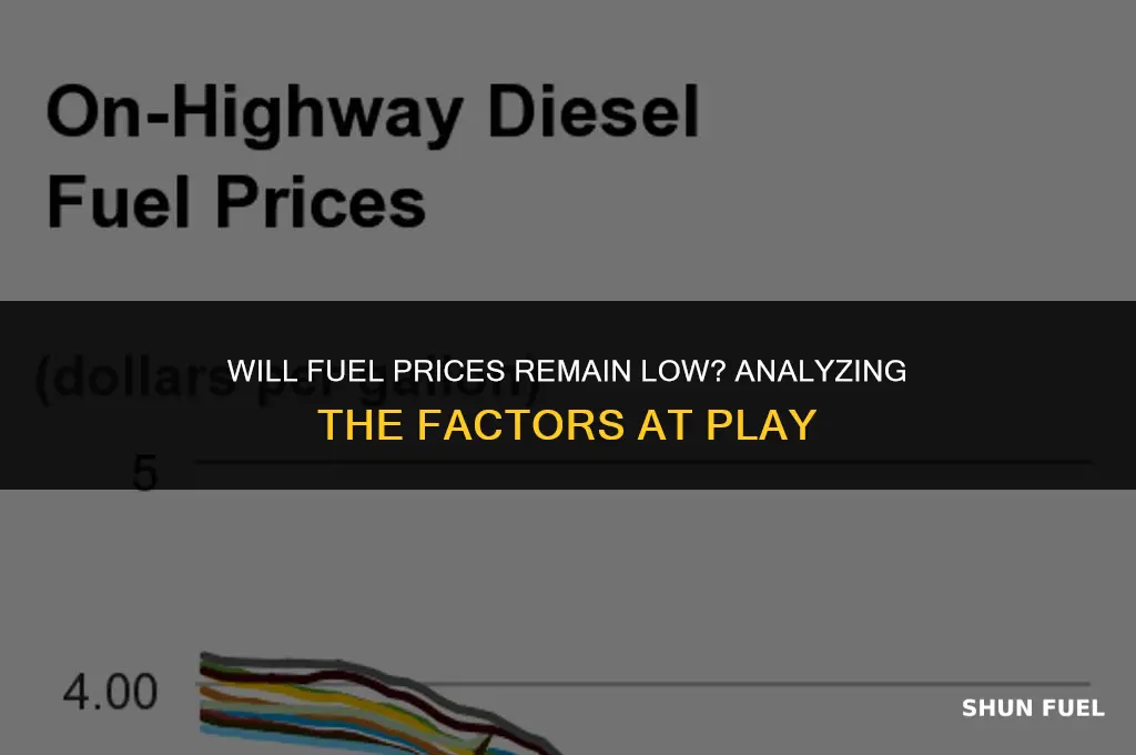 will fuel prices remain low