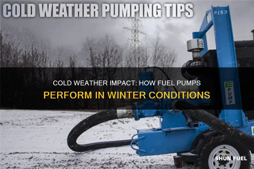 will fuel pump be affected in cold weather