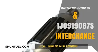 Can Fuel Pumps S 1J0919051Q & 1J0919087S Be Interchanged?
