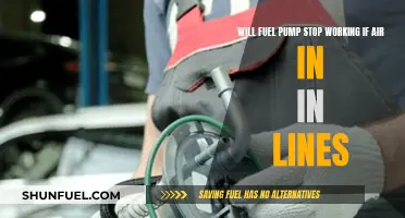 Fuel Pump Failure: Air in the Lines?