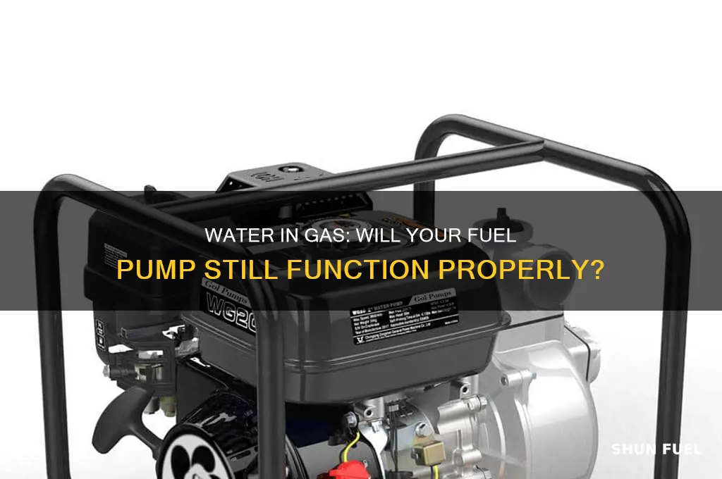 will fuel pump work if water is in gas