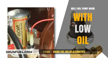 Can Your Fuel Pump Operate Efficiently with Low Oil Levels?