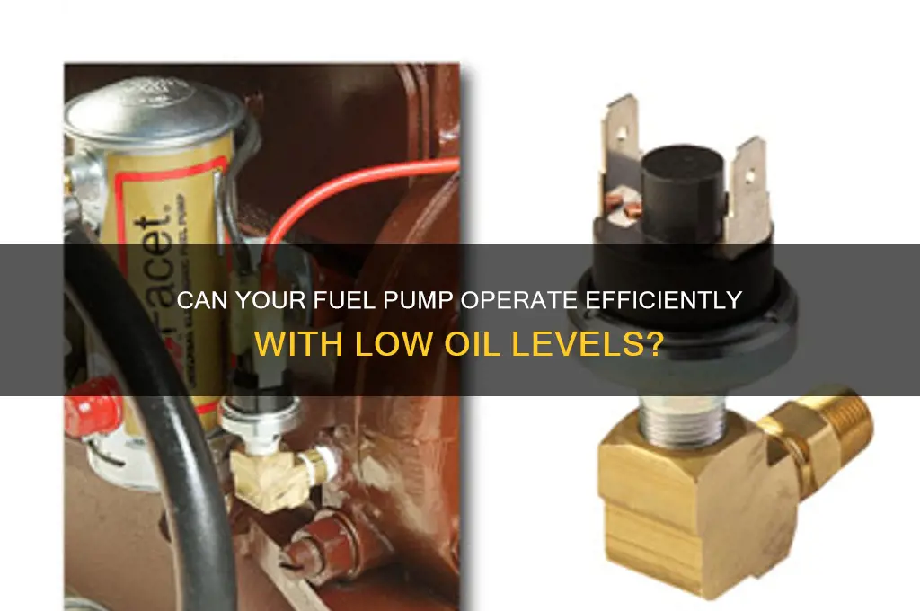 will fuel pump work with low oil