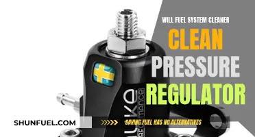 Fuel System Cleaner: Can It Clean Pressure Regulators?