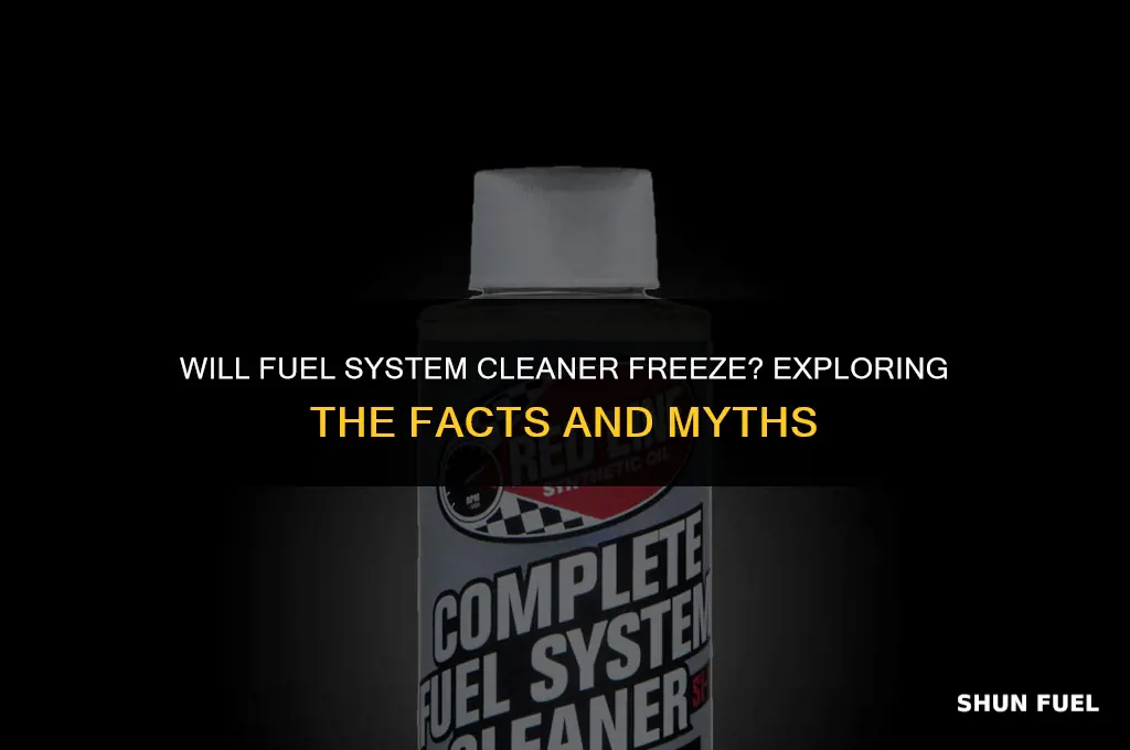 will fuel system cleaner freeze