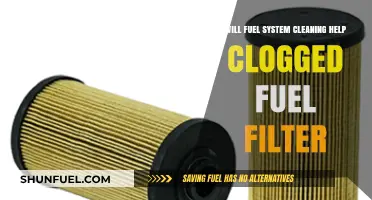 Fuel System Cleaning: Clogged Filter Solution?
