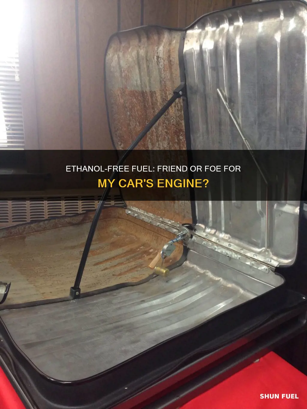 will fuel with low or no ethanol hurt my car