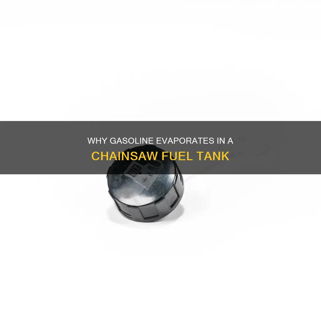 will gasoline evaporate in a chainsaw fuel tank