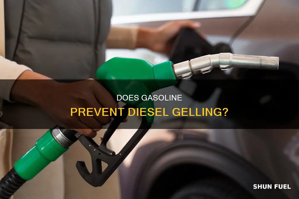 will gasoline pervent diesel fuel from gelling