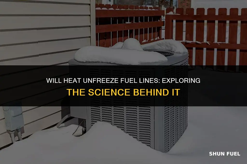 will heet unfreeze fuel li