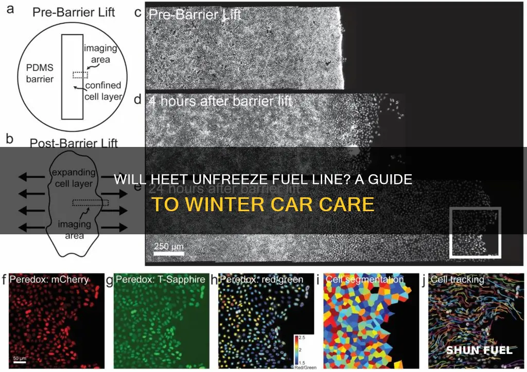 will heet unfreeze fuel line