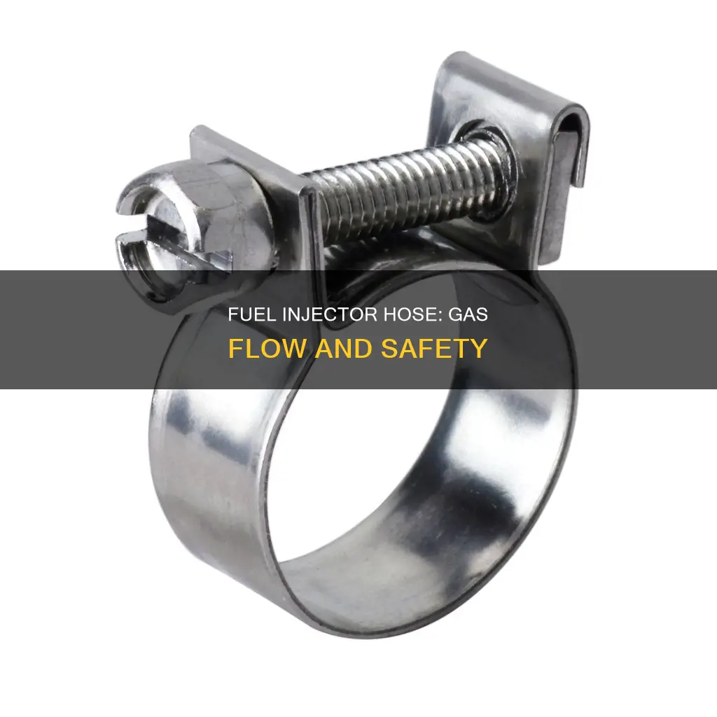 will hose to fuel injector has gas