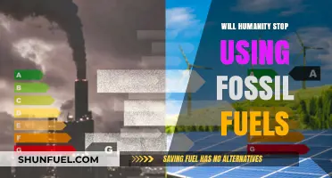Can Humanity Break Free from Fossil Fuels? A Sustainable Future Awaits