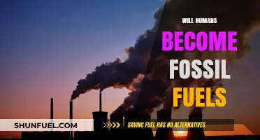 Could Future Civilizations Extract Energy from Our Fossilized Remains?