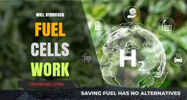 Exploring the Viability of Hydrogen Fuel Cells: A Comprehensive Analysis