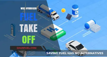 The Future of Clean Energy: Will Hydrogen Fuel Take Off?