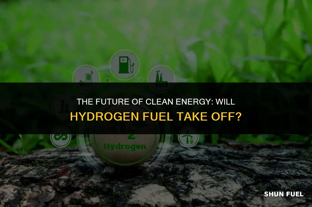 will hydrogen fuel take off