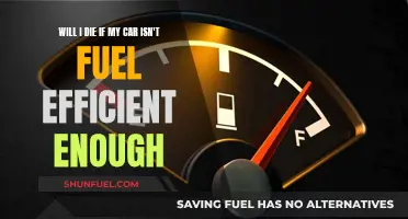 Fuel Efficiency: Life or Death?