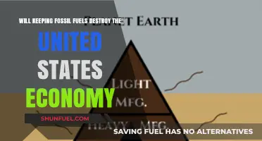 Fossil Fuels vs. Future: Economic Risks for the United States