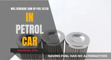 Kerosene and Petrol Cars: Fuel Filter Issues?