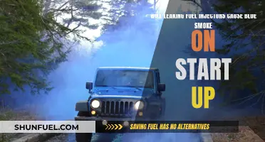 Fuel Injector Leaks: Blue Smoke on Ignition?