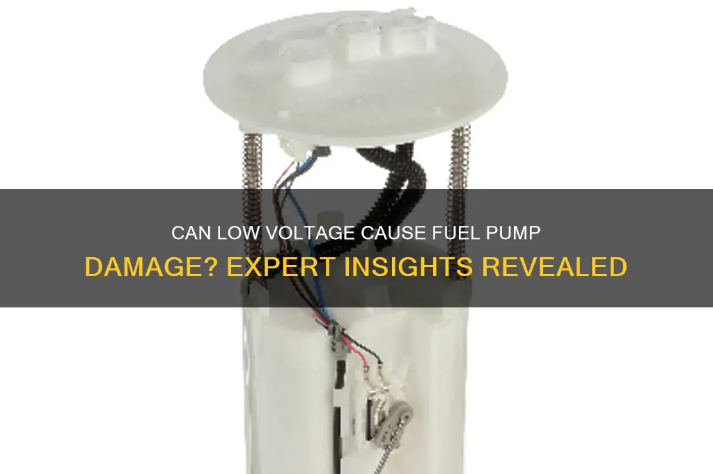 will low voltage damage a fuel pump