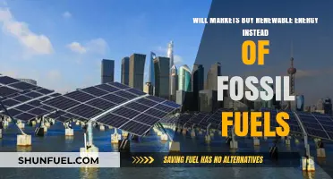 Renewable Energy vs. Fossil Fuels: Will Markets Shift to Green Power?