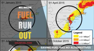 Sustainable Energy: The Looming Question of Nuclear Fuel Depletion