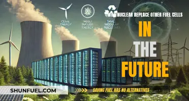 Nuclear Power: Future Fuel Cell Energy Revolution?