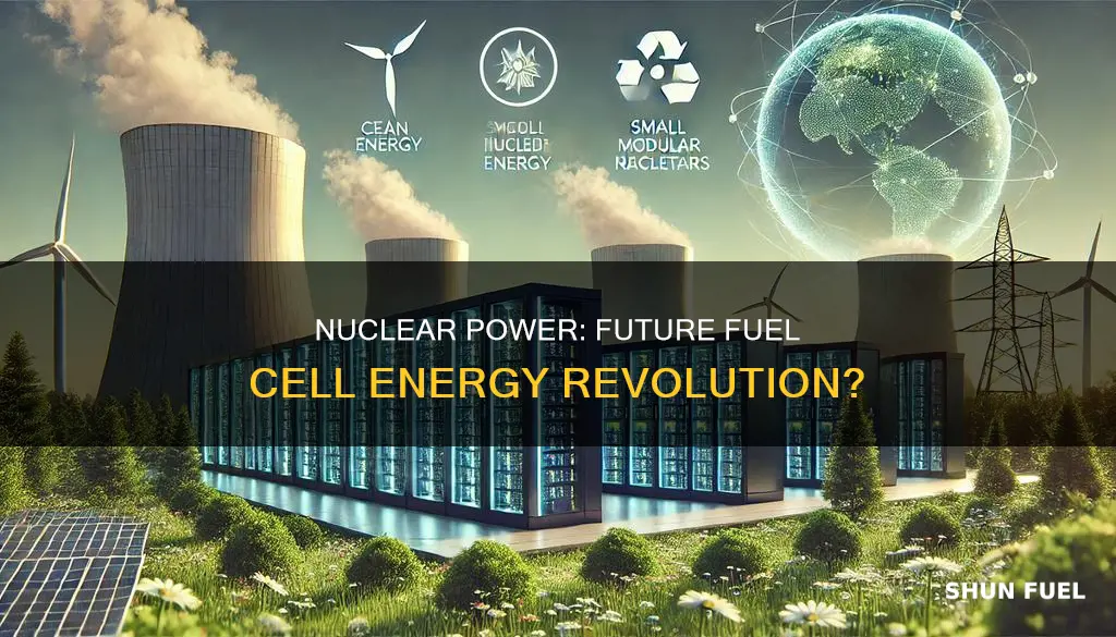 will nuclear replace other fuel cells in the future