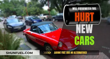Modern Cars and Oxygenated Fuel: Any Harm?