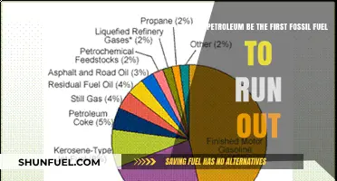 Will Petroleum Deplete First Among Fossil Fuels? A Critical Analysis