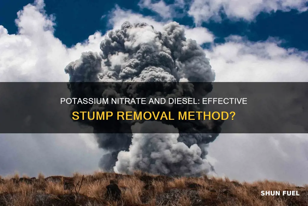 will potassium nitrate and diesel fuel to burn stumps