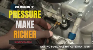 Fuel Pressure Increase: Richer Mixture or Wasteful Exercise?