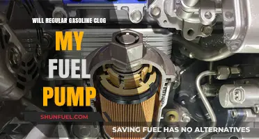 Regular Gasoline and Fuel Pumps: Preventing Clogs and Ensuring Longevity