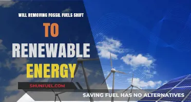 Shifting from Fossil Fuels to Renewable Energy: A Sustainable Future?