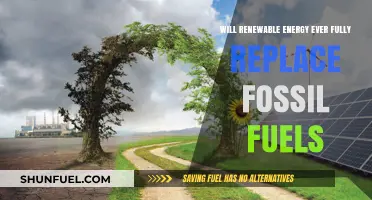 Can Renewable Energy Fully Replace Fossil Fuels in the Future?