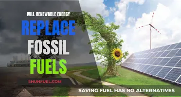 Renewable Energy: Future Beyond Fossil Fuels?
