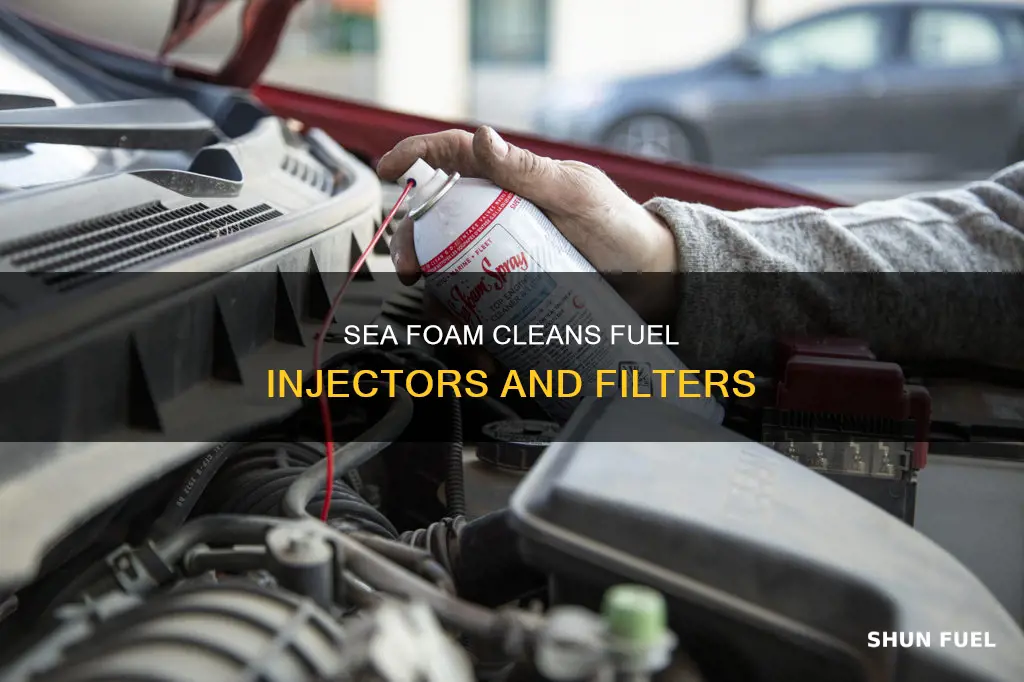 will sea foam clean fuel filter