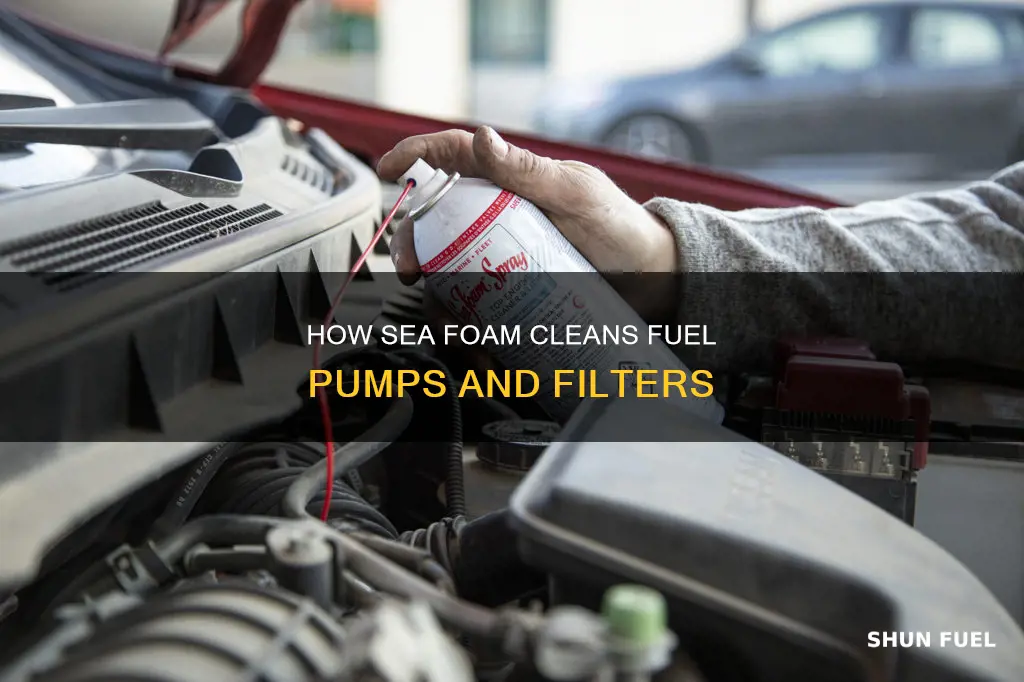 will sea foam clean fuel pump anf filter