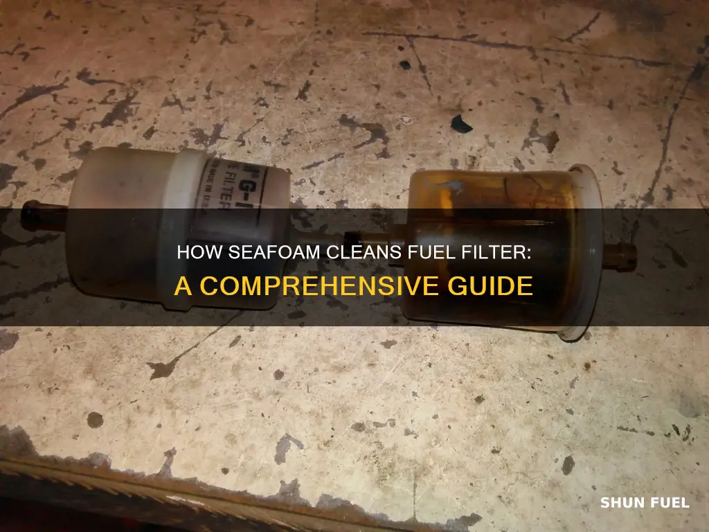 will seafoam clean fuel filter
