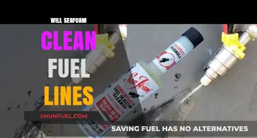 Seafoam's Power: Can It Clean Fuel Lines?