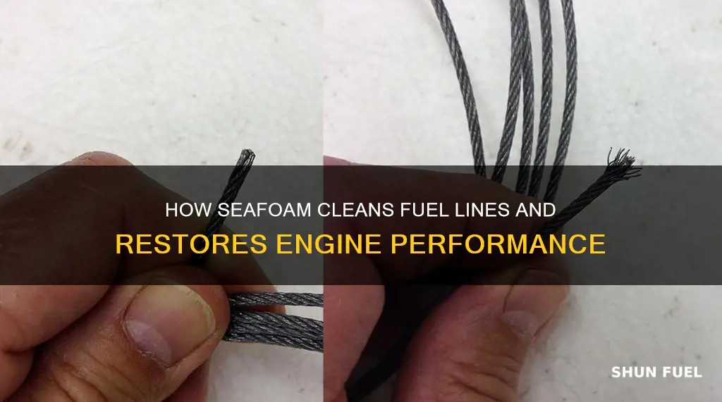 will seafoam clean fuel lines