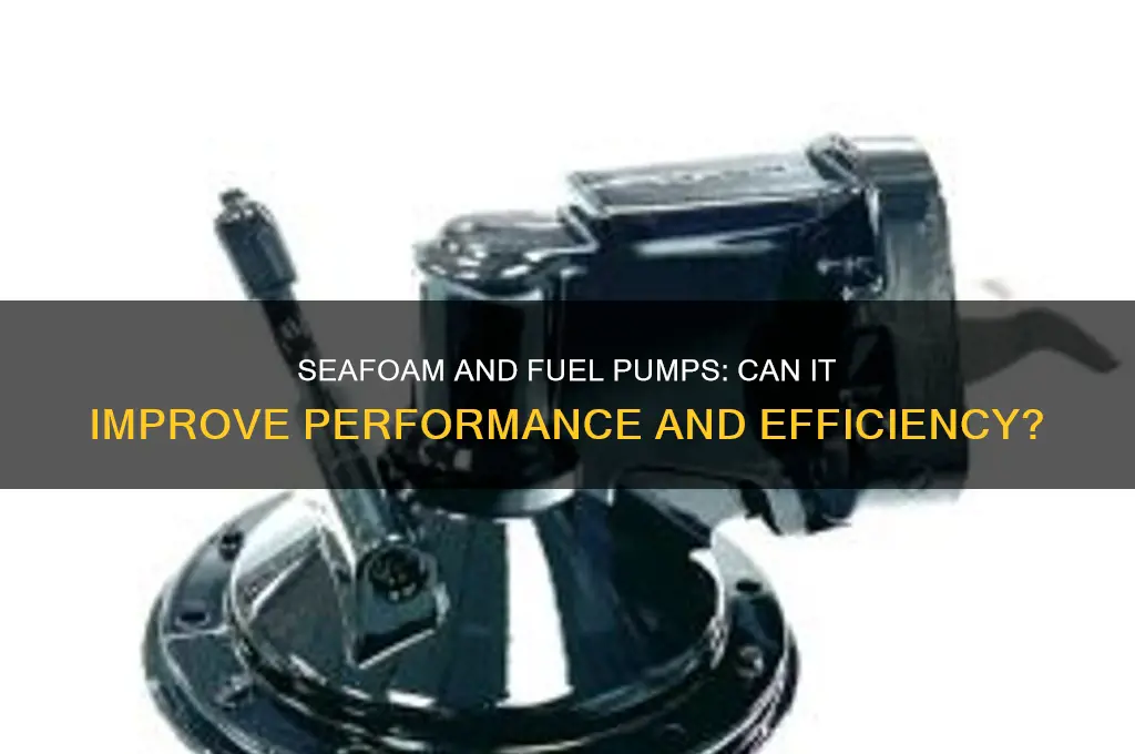will seafoam help fuel pump