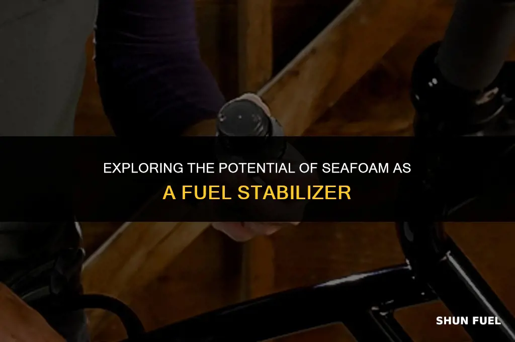 will seafoam stabilize fuel