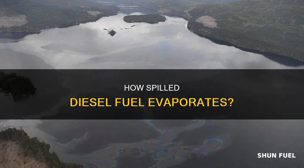 will spilled diesel fuel evaporate