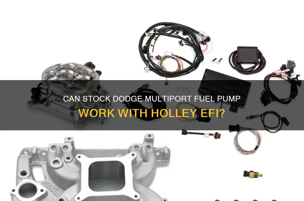 will stock dodge multiport fuel pump work with holley efi