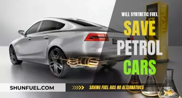 Synthetic Fuel: Savior or Killer of Petrol Cars?