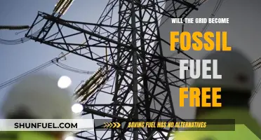 Can the Grid Achieve a Fossil Fuel-Free Future Soon?